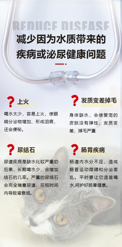 基础款06.jpg