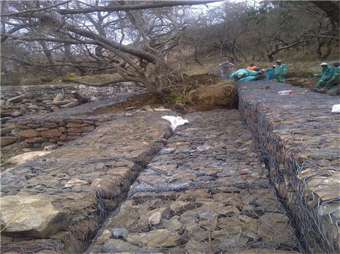 IMG-20120725-01633.jpg IMG-20120725-01633.jpg
