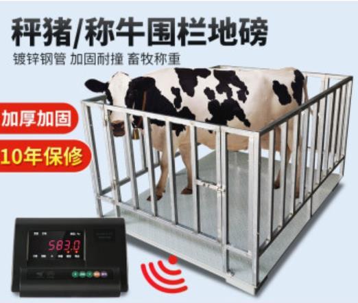 天津畜牧秤围栏秤平台秤猪牛羊台秤