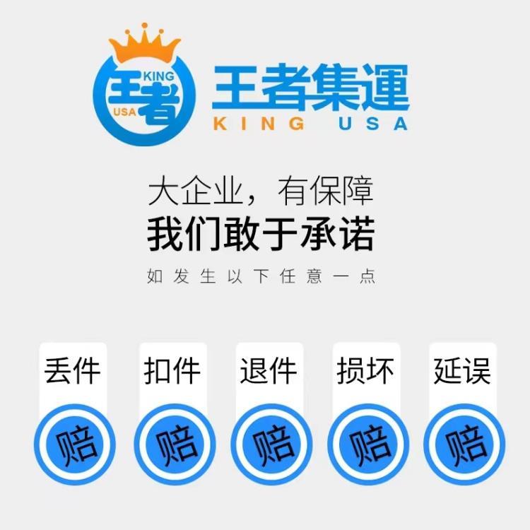 欧美纯电专线双清含税可发带磁产品时效稳定