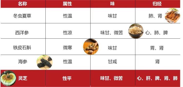 破壁灵芝孢子粉颗粒