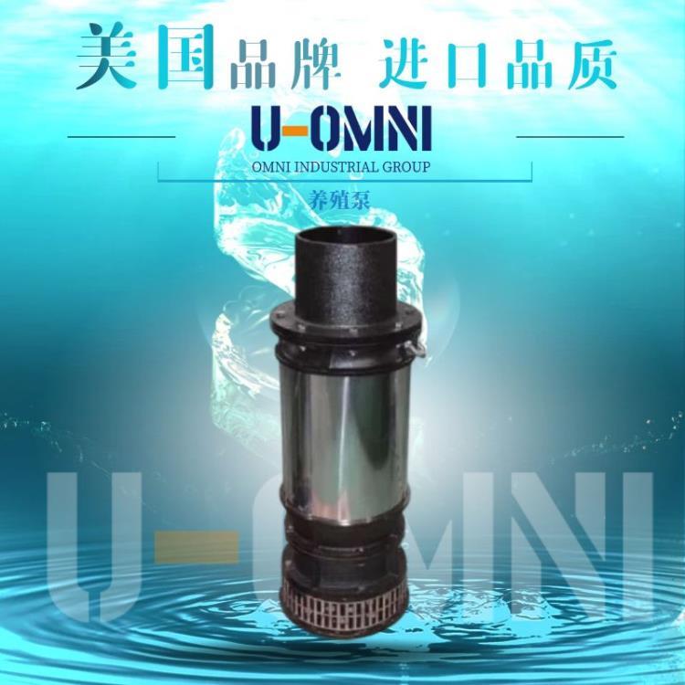 进口沉水式涡流泵-进口潜水泵-美国欧姆尼U-OMNI