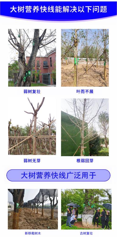 大树全元素营养吊袋液 促进生根提高成活 树木吊吊针液输液袋