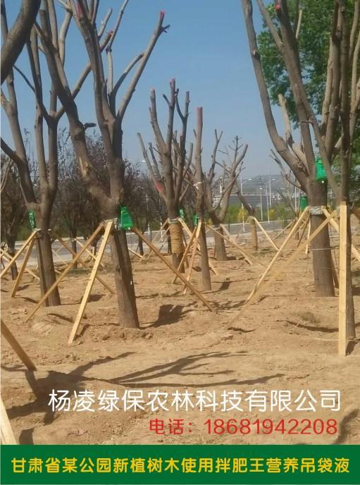 大树全元素营养吊袋液 促进生根提高成活 树木吊吊针液输液袋