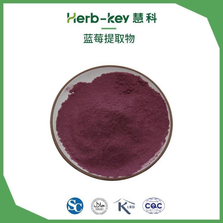 蓝莓提取物 陕西慧科花青素1% 厂家 现货供应