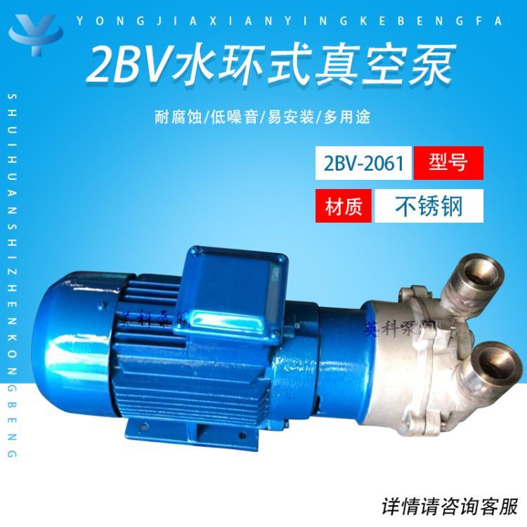 2BV型水环真空泵