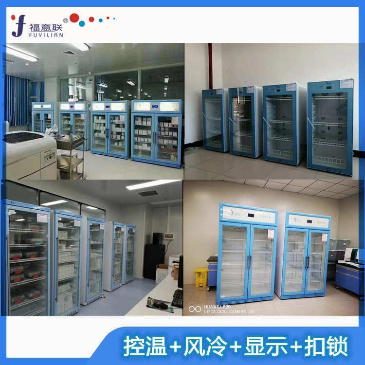 带双锁储存标准品冰箱