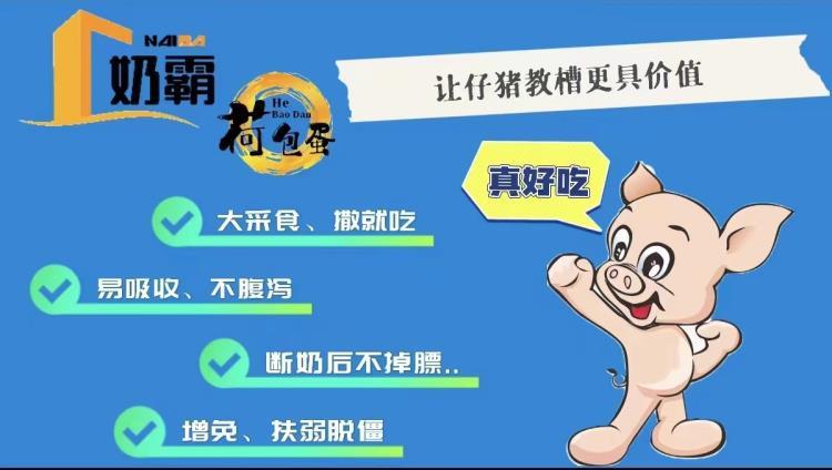 山东同慧猪饲料教槽料